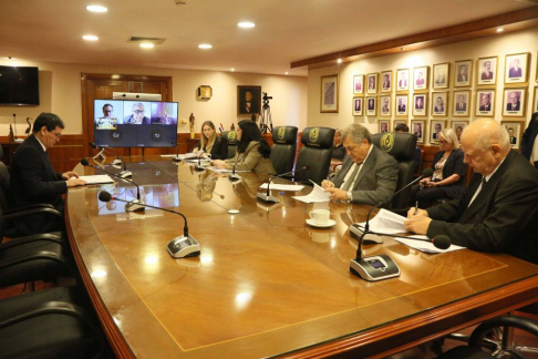 Decisiones de la Plenaria de la Corte Suprema de Justicia.