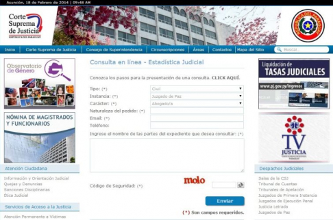 Servicio de Consultas Online para Estadísticas Judiciales