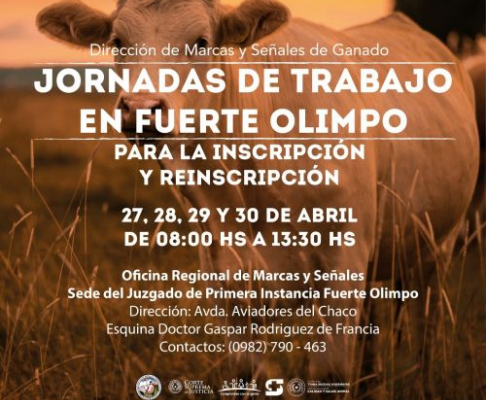 Flyer de la actividad