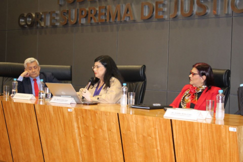 Ministra Carolina Llanes analizó la evolución del sistema penal tras la Constitución de 1992.