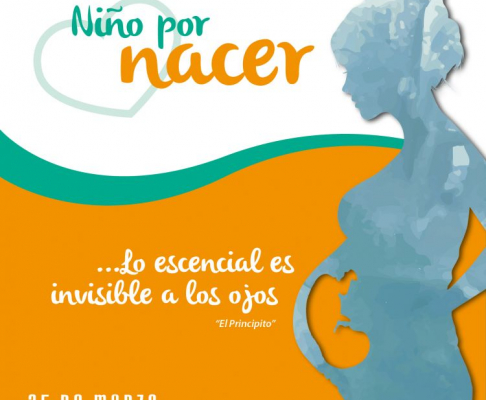 El IIJ recuerda que mañana 25 de marzo se conmemora el Día del Niño por Nacer.
