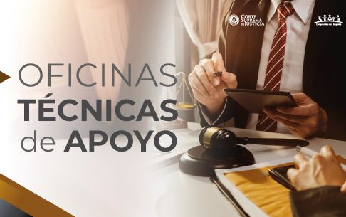 Oficinas Técnicas buscan concretar mejores modelos de apoyo a función jurisdiccional.