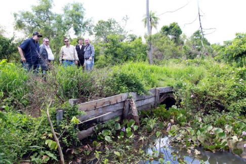 Durante la intervención ambiental que se había realizado en la zona de Areguá. (Foto archivo)