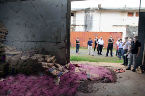 Durante la intervencion hallaron semillas depositadas desde hace más de 20 años.