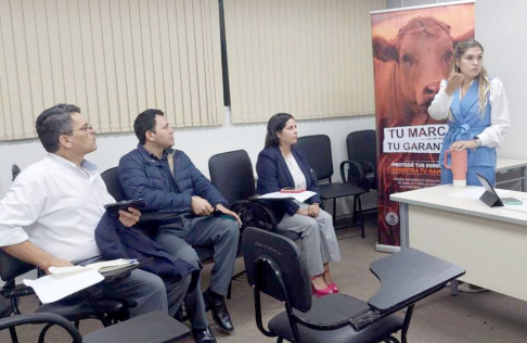 Reunión entre representantes de la Dirección de Marcas y Señales la Conalcart.