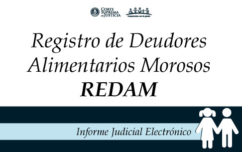 CSJ habilita plataforma web del Registro de Deudores Alimentarios Morosos