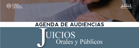 Agenda de Juicios Orales y Públicos