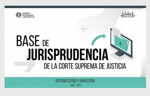 Disponible base de datos de jurisprudencia en sitio web del Poder Judicial.