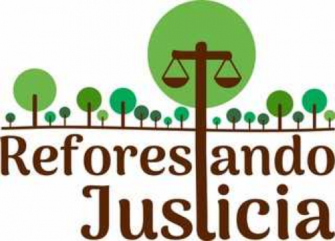  CSJ dispone elaboración de un programa de reforestación y arborización en la capital y en las sedes judiciales 