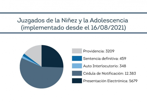 Estadística de acciones en el Fuero Niñez y Adolescencia, Capital.