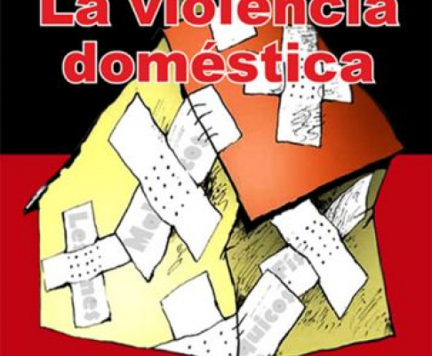 Denuncias de violencia doméstica incluyen todo tipo de agresión intra familiar