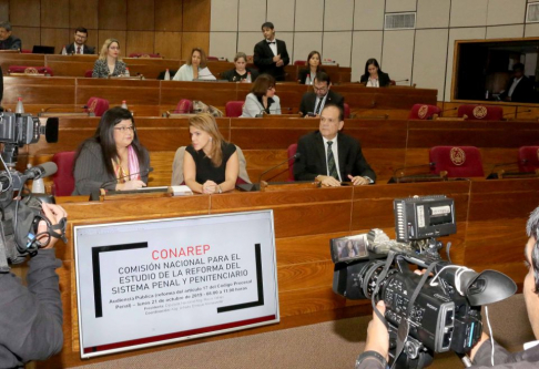 La ministra Carolina Llanes participó de la audiencia convocada por Comisión Nacional para el Estudio de la Reforma del Sistema Penal y Penitenciario del Senado.