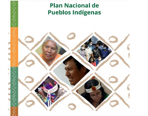  Socializa Plan Nacional de Pueblos Indígenas. 